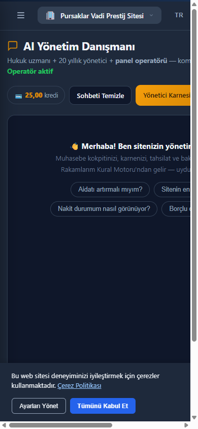 AI Yönetim Danışmanı ekranı