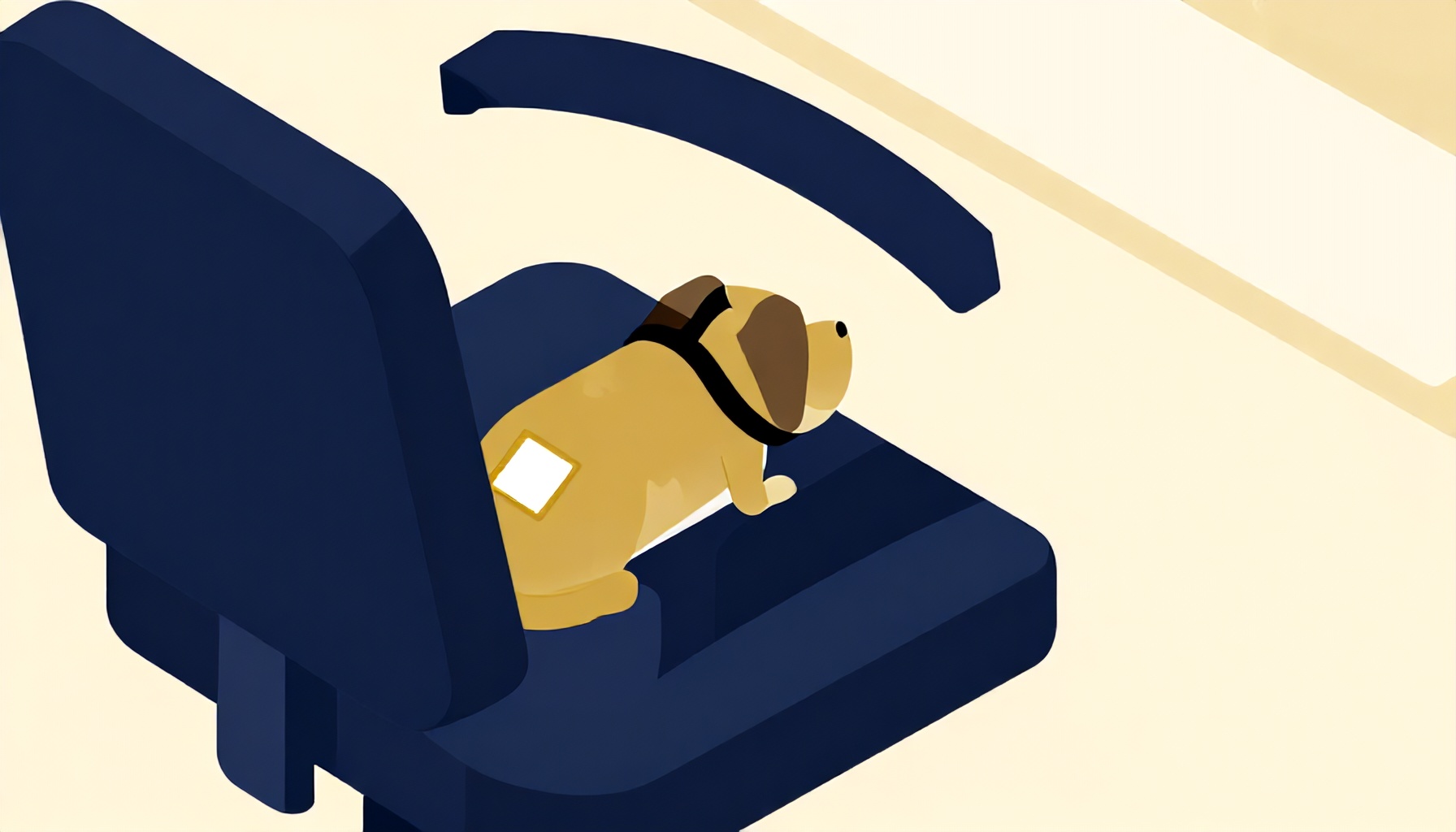 Rehber köpek ve engelli destek hayvanı ofis ortamında